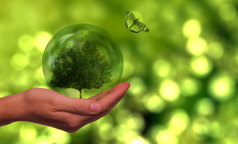 Vegānisms ārpus politikas 2 Vegānisms ārpus politikas 2025. gada decembris