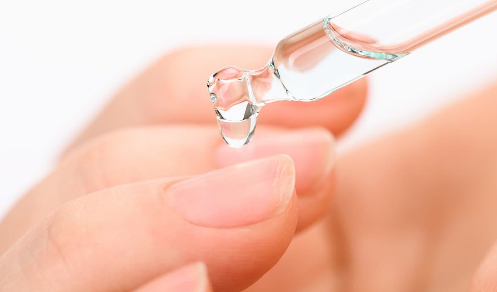 ບ່າວຫຼໍ່ 12 Vegan Beauty ທັນວາ 2025