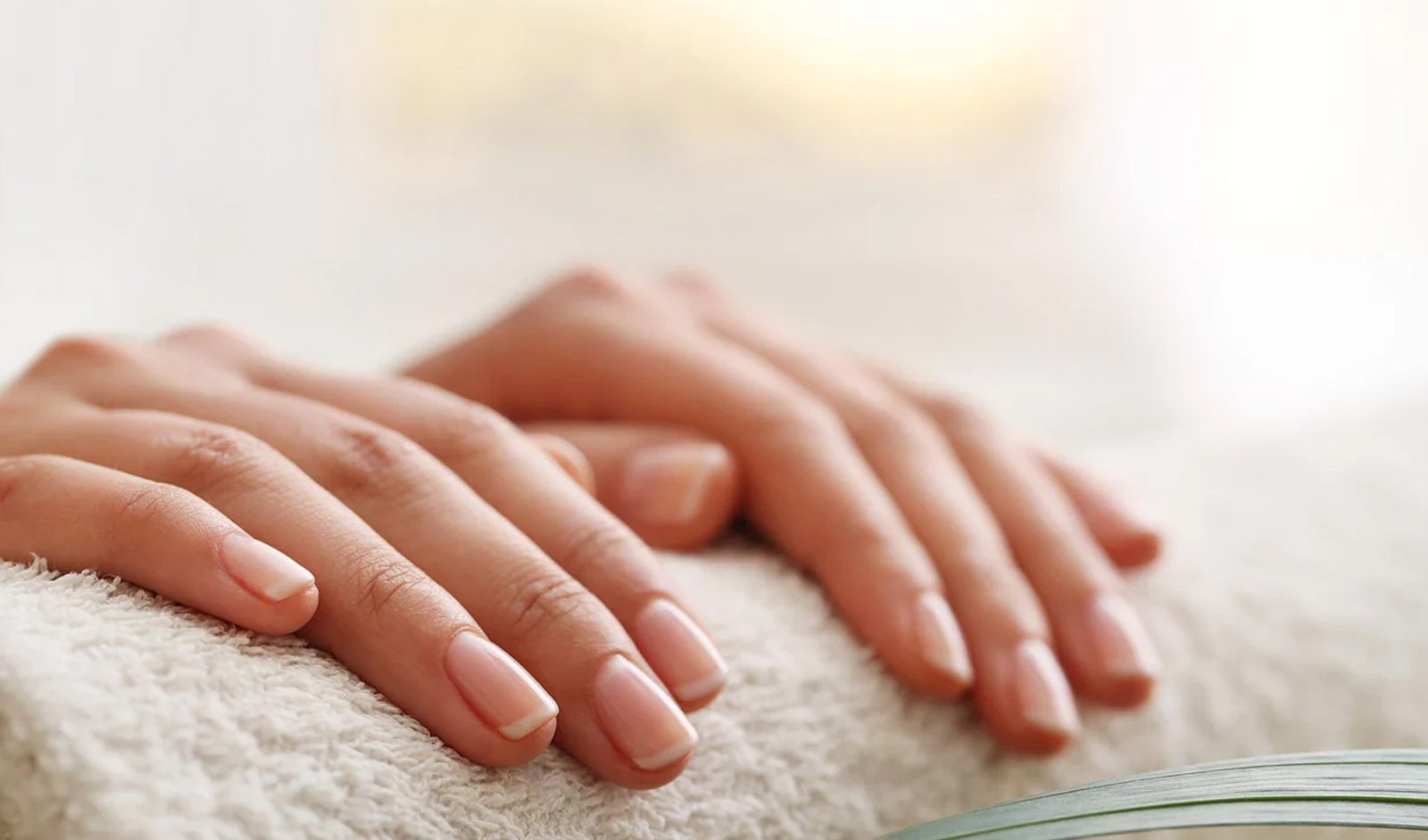 ບ່າວຫຼໍ່ 13 Vegan Beauty ທັນວາ 2025