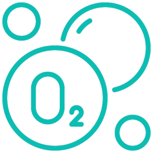 Vegan Sporcular Ocak 2026